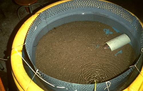 elektro-orintatie training